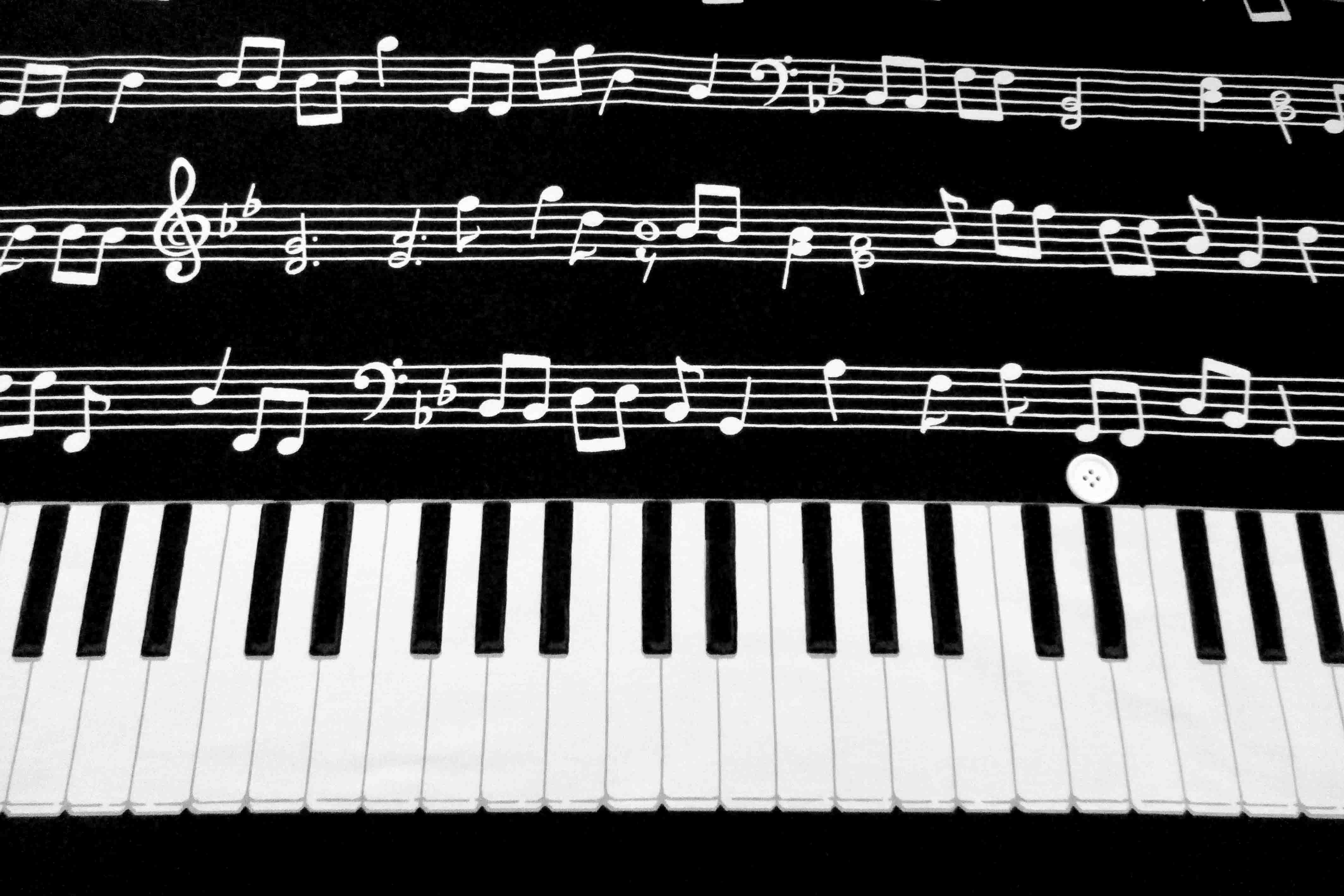 コットンオックス　楽譜と鍵盤　ボーダー柄　ブラック