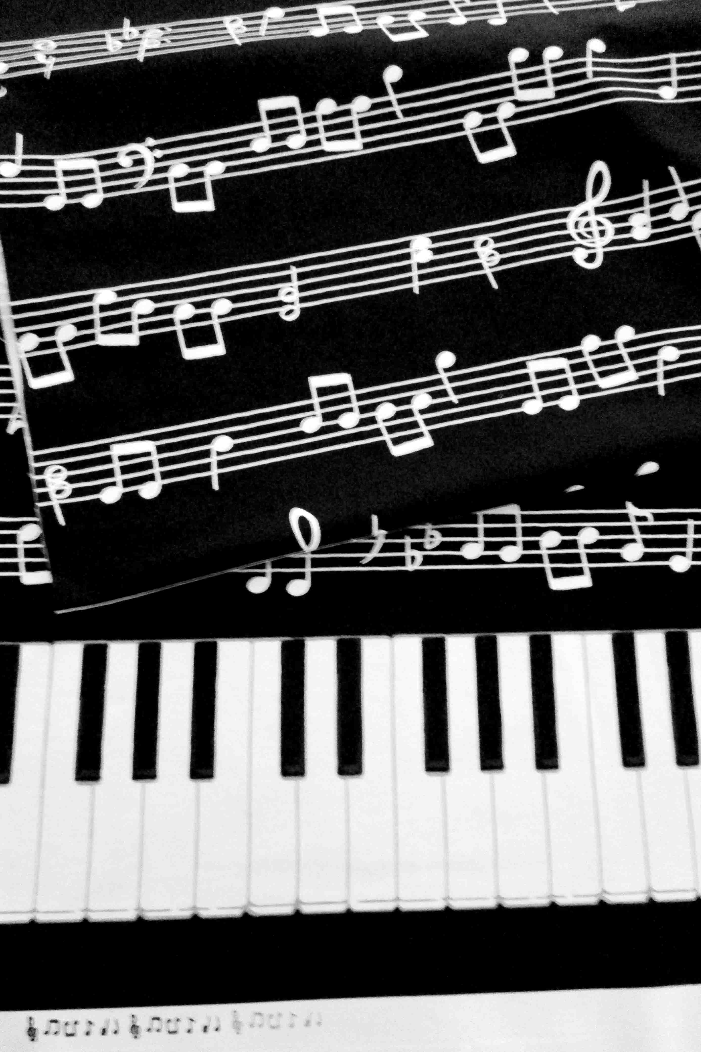 コットンオックス　楽譜と鍵盤　ボーダー柄　ブラック